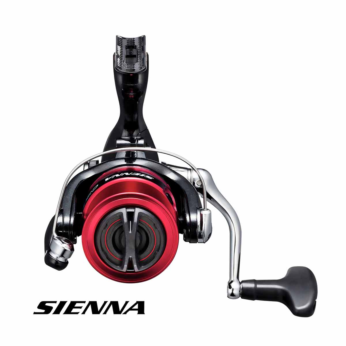 SHIMANO 2019 Original SIENNA FG 2000 2500 2500HG C3000 Spinning