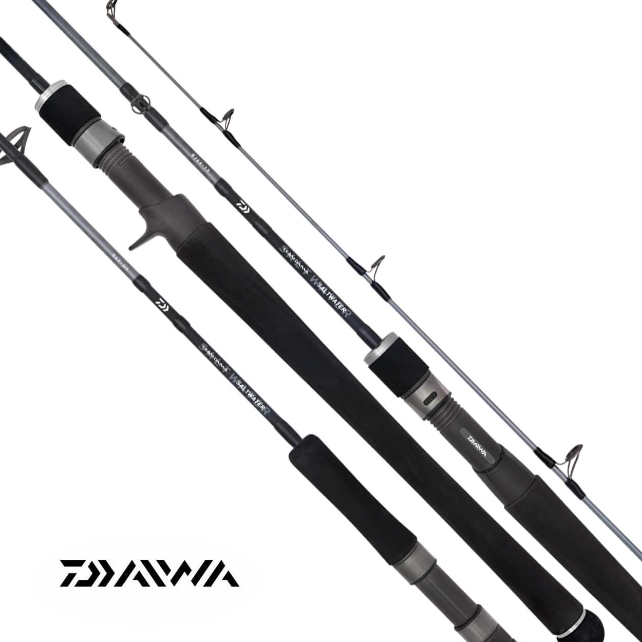 Daiwa 20 TD Saltwater Overhead Rod